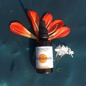 Esencia de la abundancia